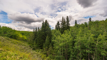 Fototapeta na wymiar Glenmore Park nature sceneries, Calgary, Alberta, Canada