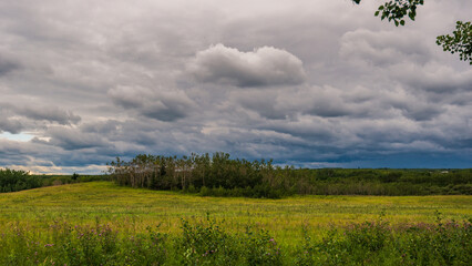 Glenmore Park nature sceneries, Calgary, Alberta, Canada