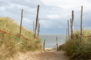 Sand path on the beach with dunes or dyke at Dutch north sea, Wooden fence and european marram grass (beach grass) under cloudy sky in summer, Texel is wadden island in the Netherlands, North Holland.