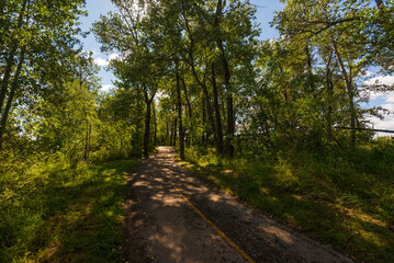 Fototapeta premium nature landscape along the Bow river in the Calgary neighborhood, Alberta, Canada 