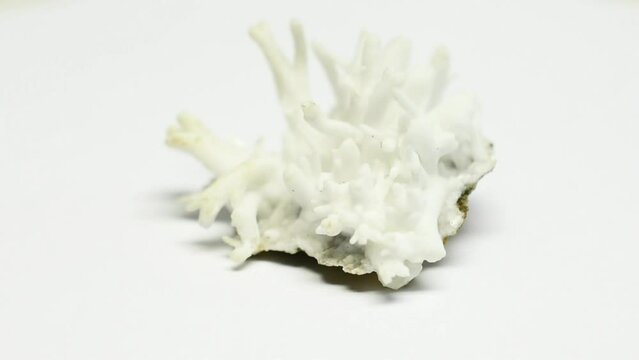 Aragonit, Serradifalco, Arigento, Sizilien, Italy