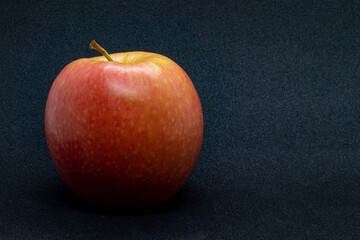 POMME 040123 04