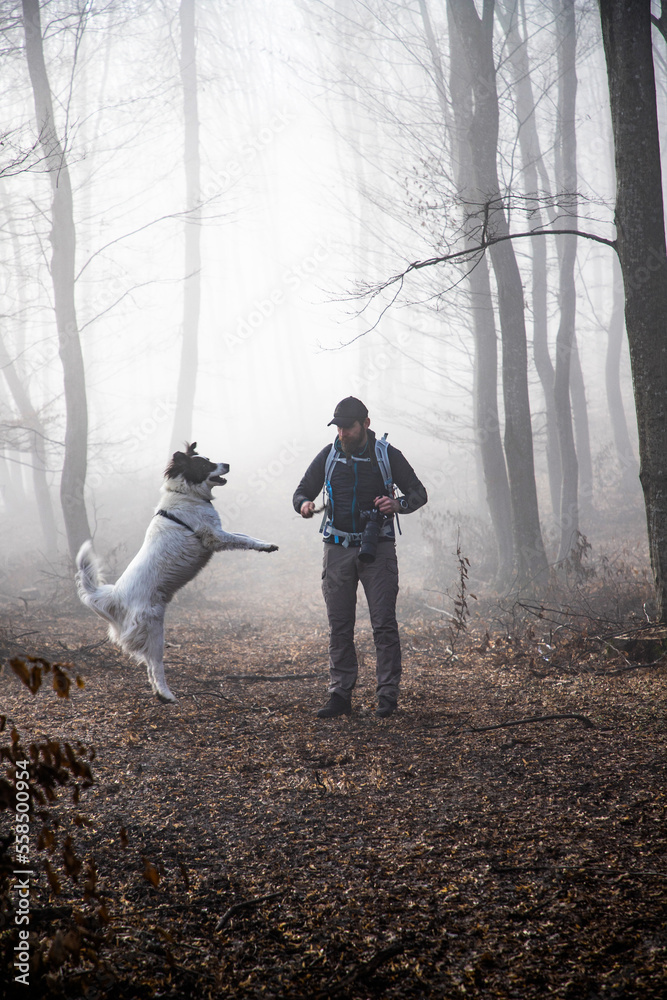 Poster happy dog and owner in foggy forest