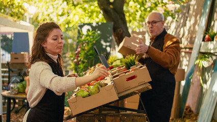 Woman stall holder arranging price tags on boxes of products at local farm market stand, presenting...