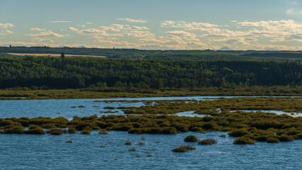 Glenmore Park nature sceneries, Calgary, Alberta, Canada