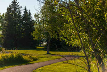 Glenmore Park nature sceneries, Calgary, Alberta, Canada