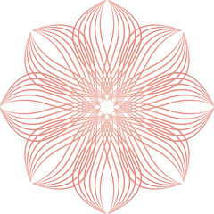 beautiful flower petals, flower line design