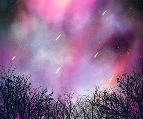 Fototapeta na wymiar Bautiful galaxy nebula sky with siluet tree