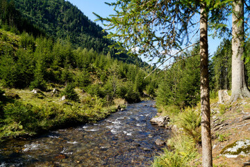 Obraz premium a hiking trail overlooking the picturesque alpine landscape with a cold alpine stream in the Austrian Alps of the Schladming-Dachstein region (Schladming, Austria)