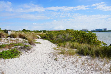 Winter landscape Cypress Point Park and Tampa Bay in Florida. It is close to TPA airport and is an Oceanfront park with a boardwalk, hiking trails, dunes, picnic shelters and a canoe dock.