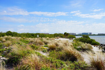 Fototapeta na wymiar Winter landscape Cypress Point Park and Tampa Bay in Florida. It is close to TPA airport and is an Oceanfront park with a boardwalk, hiking trails, dunes, picnic shelters and a canoe dock.