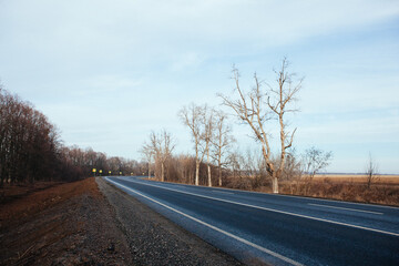 Fototapeta premium New asphalt road with markings and road signs in the sun's rays
