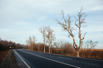 Fototapeta premium New asphalt road with markings and road signs in the sun's rays