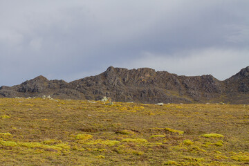 Typical landscape of the Andes of Peru, with mountains and pastures of Ichu. Concept of landscapes, nature.