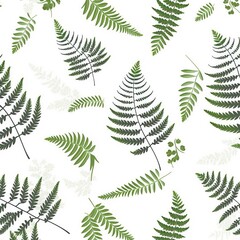 Fototapeta na wymiar fern leaves pattern