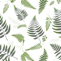 Obraz premium fern leaves pattern