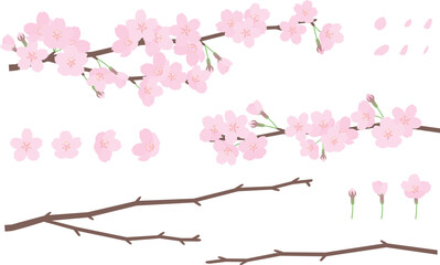 桜と枝のイラスト素材セット © あるぱかこ