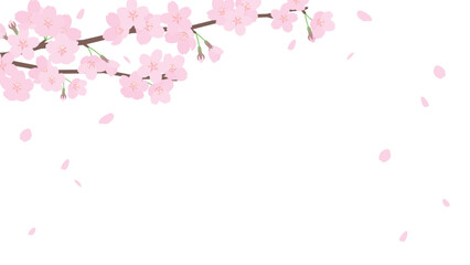 Obraz na płótnie Canvas 桜と花吹雪のフレームイラスト