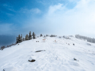 Winter mountain landscape in Austria.
