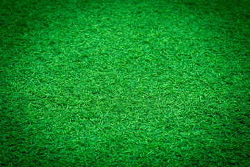 Green grass background, football field