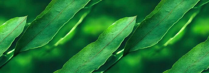 Obraz premium Panoramic plant wallpaper
