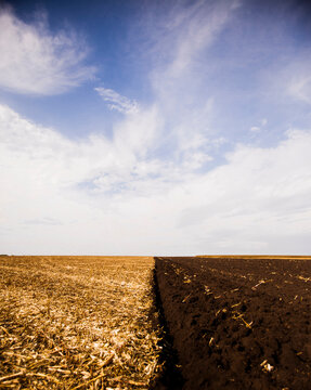 Freshly Plowed Field