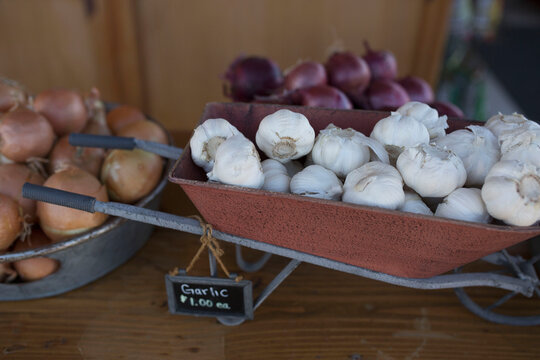 This is an image of fresh garlic, onion etc.