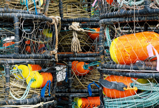 Close-up of crab traps, Bodega Bay, CA.