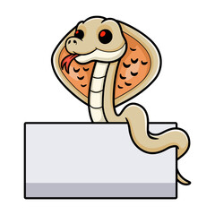 Fototapeta premium Cute albino monocled cobra cartoon with blank sign