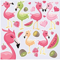 Flamingo Freshness vector art