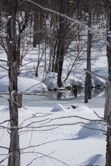 雪溶け水がある冬の青い池
