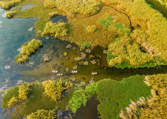Aerial view of Van Long Natural Reserve, Vietnam