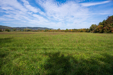 Fototapeta na wymiar Green meadow surrounded by autumn forest and hill. Blue sky with white clouds.
