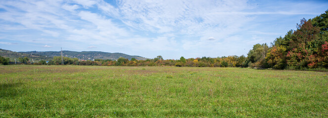Green meadow surrounded by autumn forest and hill. Blue sky with white clouds.