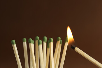 Burning match near unlit ones on brown background, closeup