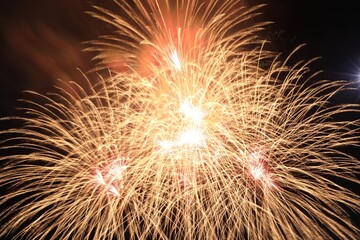 Beautiful fireworks lighting up night sky outdoors