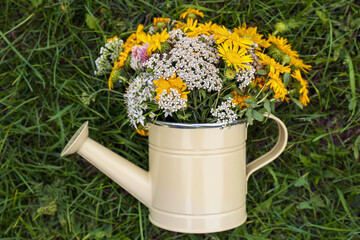 Pale yellow watering can with beautiful flowers on green grass, top view