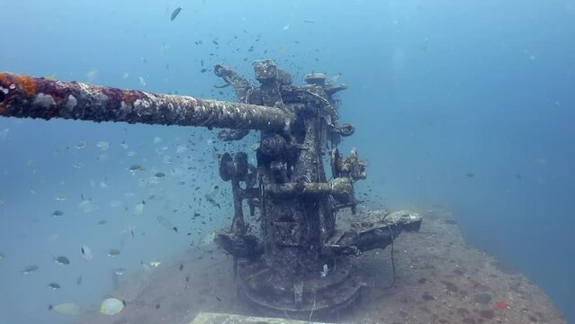 Reef fishes swimming around the front gun of sunk ship HTMS Sattakut under deep Thailand gulf sea