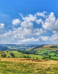 Fototapeta premium field and blue sky