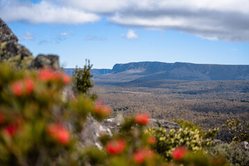 view of bastions bluff and the waratahs