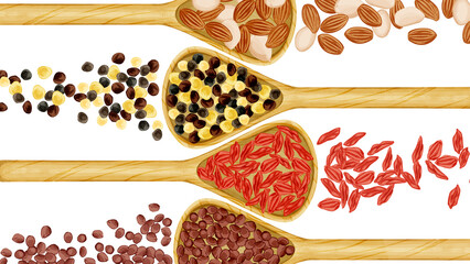 木製スプーンに乗せた漢方生薬手描き水彩風イラスト