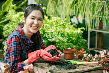 Beautiful Asian woman gardener working inside the propagation table at plant nursery garden center...