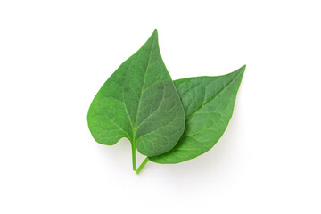 Plu kaow leaf (Houttuynia cordata Thunb) isolated on white background , top view , flat lay.