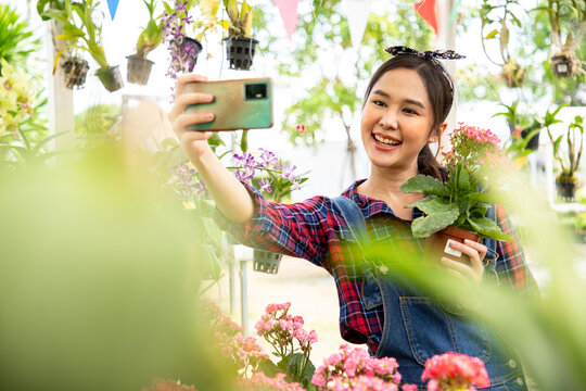 Asian woman using a smartphone photographing selfie flowers in the flower garden. Order in plants shop. Woman in nursery plant working with flowers