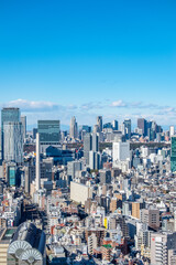 Fototapeta premium 日本の首都東京都の都市風景