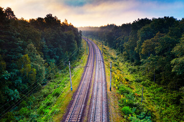 The railway runs through the forest. Empty tracks at sunset or dawn.