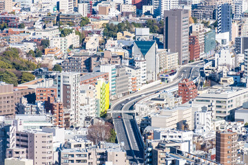 Fototapeta premium 日本の首都東京都の都市風景