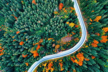 Drone view of a mountain road in an autumn forest.