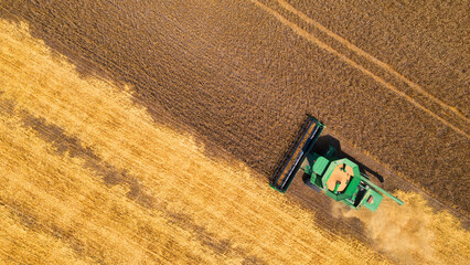 Fototapeta na wymiar combine harvester harvests wheat in the field