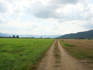 Dirt road on hill and meadow with blue sky and white cloud in background, The path leads straight to the mountain
